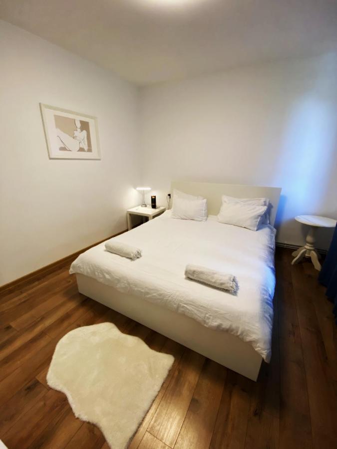Peles Green Apartment & Piano Kaloşvar Dış mekan fotoğraf