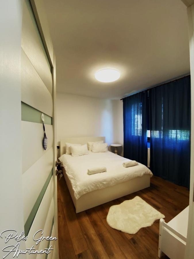 Peles Green Apartment & Piano Kaloşvar Dış mekan fotoğraf