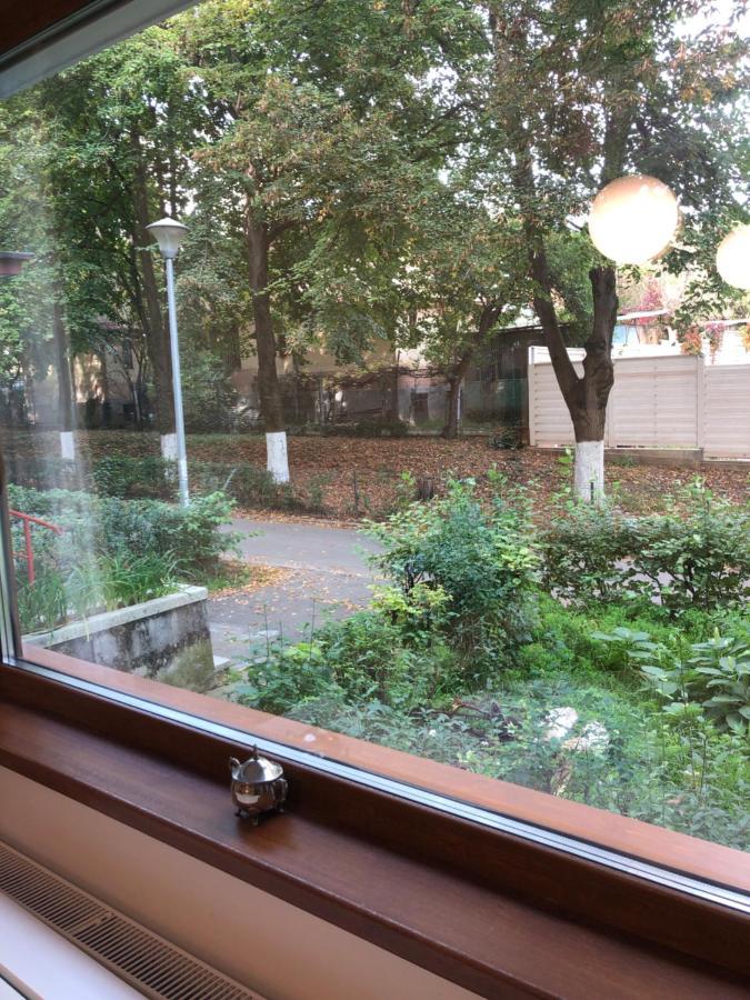 Peles Green Apartment & Piano Kaloşvar Dış mekan fotoğraf