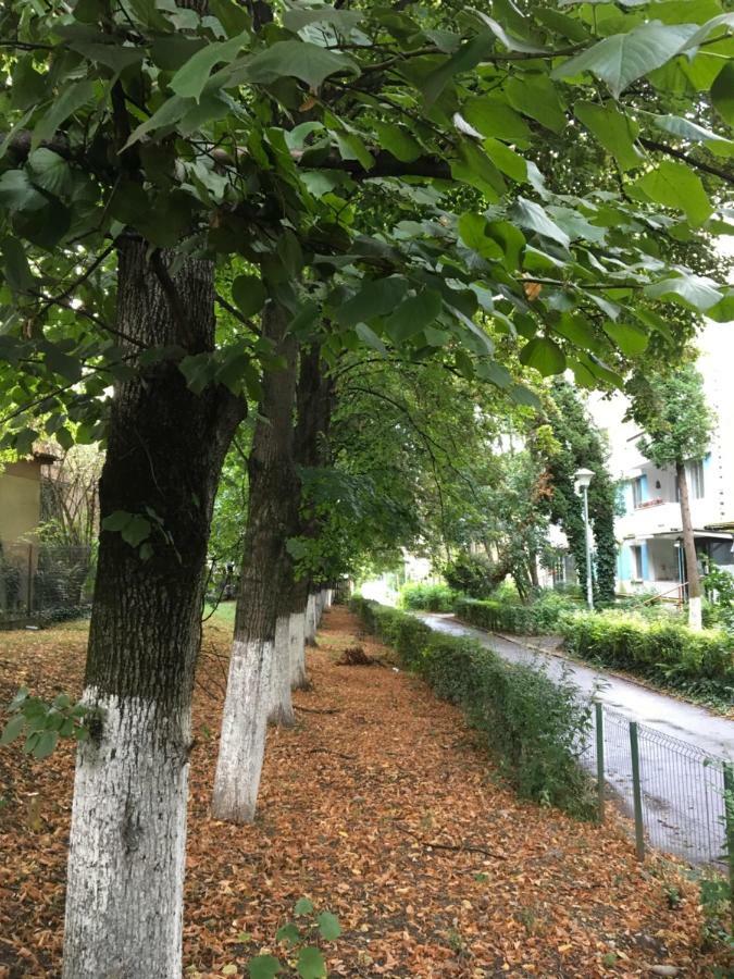 Peles Green Apartment & Piano Kaloşvar Dış mekan fotoğraf